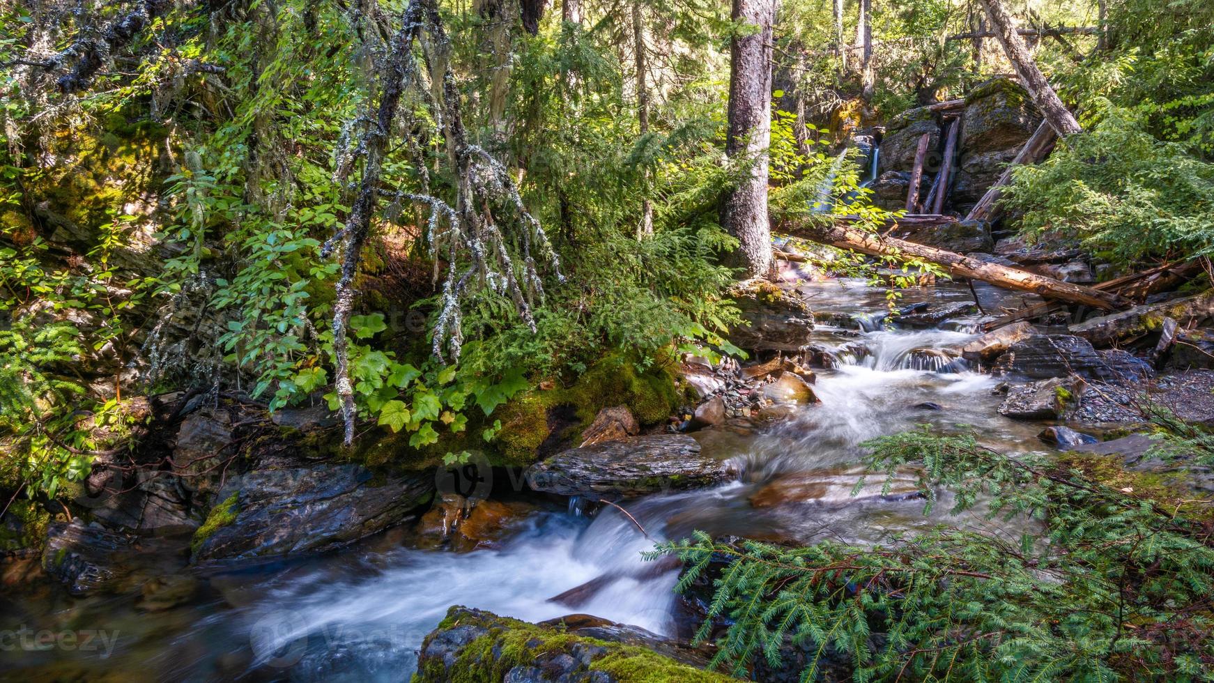 holland creek en un soleado día de otoño foto