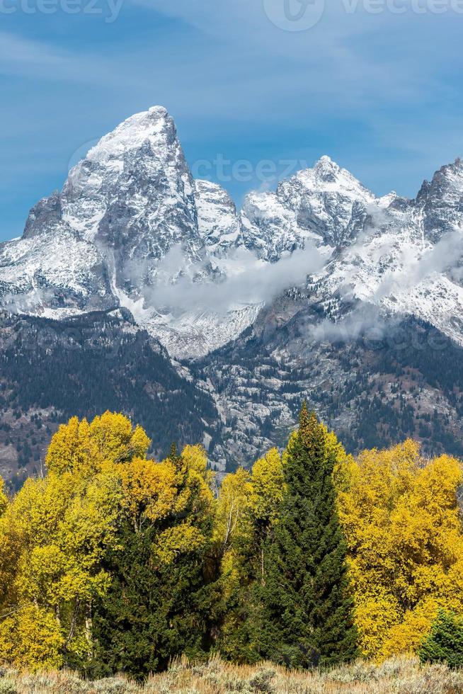 Autumnal Colours in the Grand Teton National Park photo