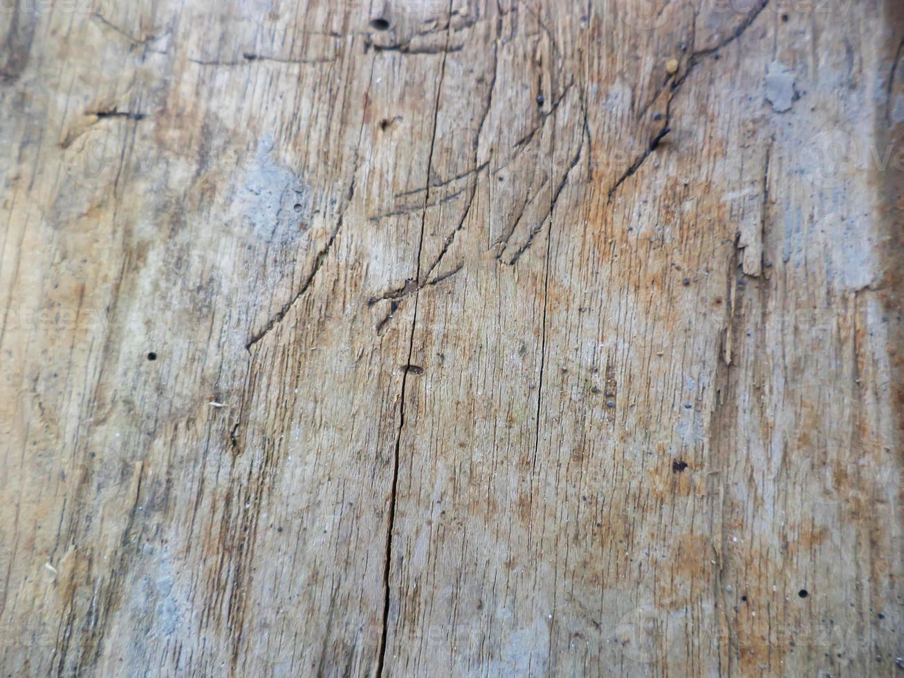 Beautiful white wood texture photo