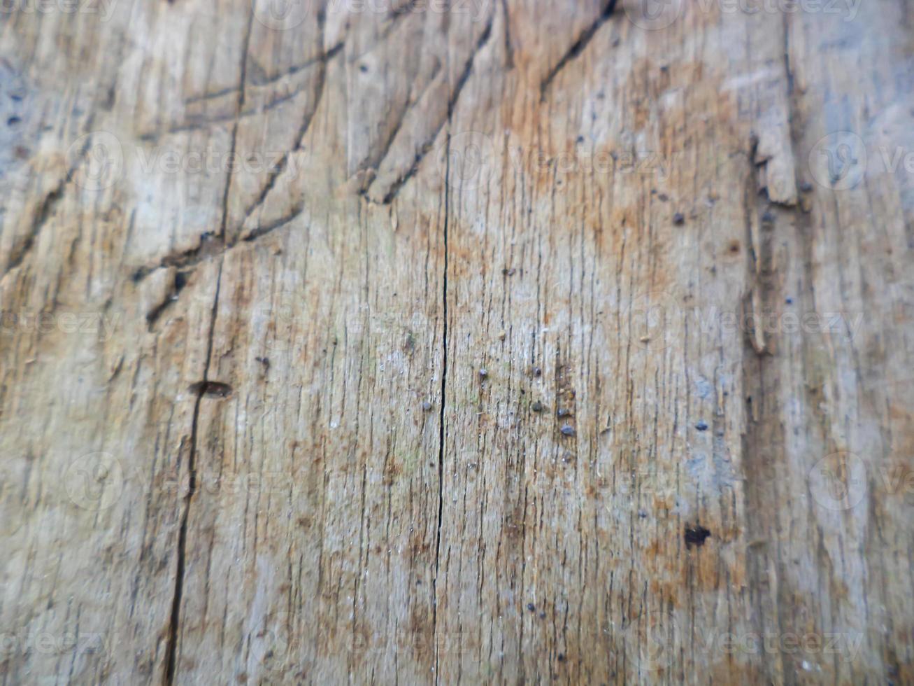 White block wood texture photo