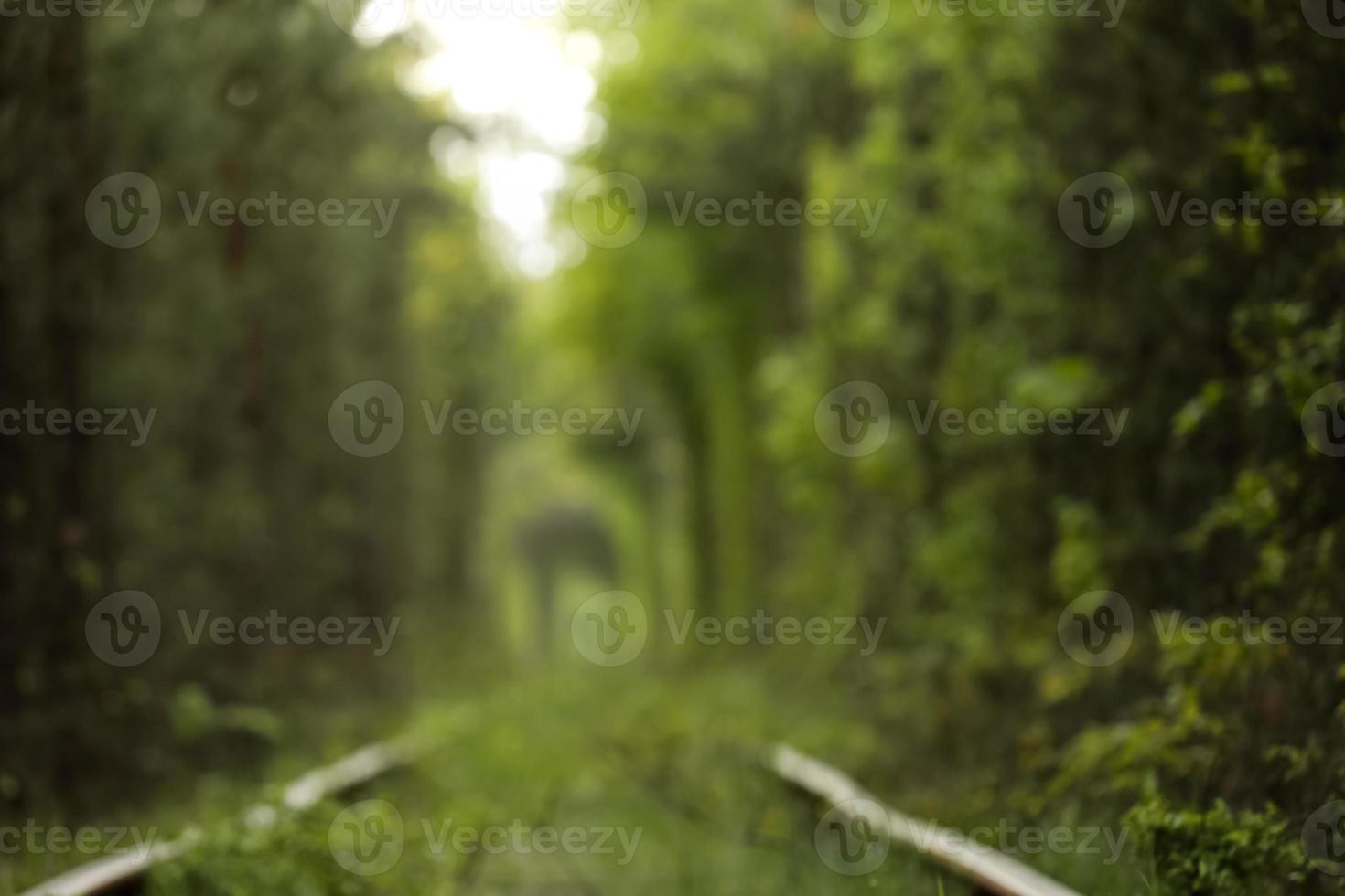 Natural tunnel of love formed by trees in Ukraine, Klevan. old railway in the beautiful tunnel in summer day. photo out of focus on the background.