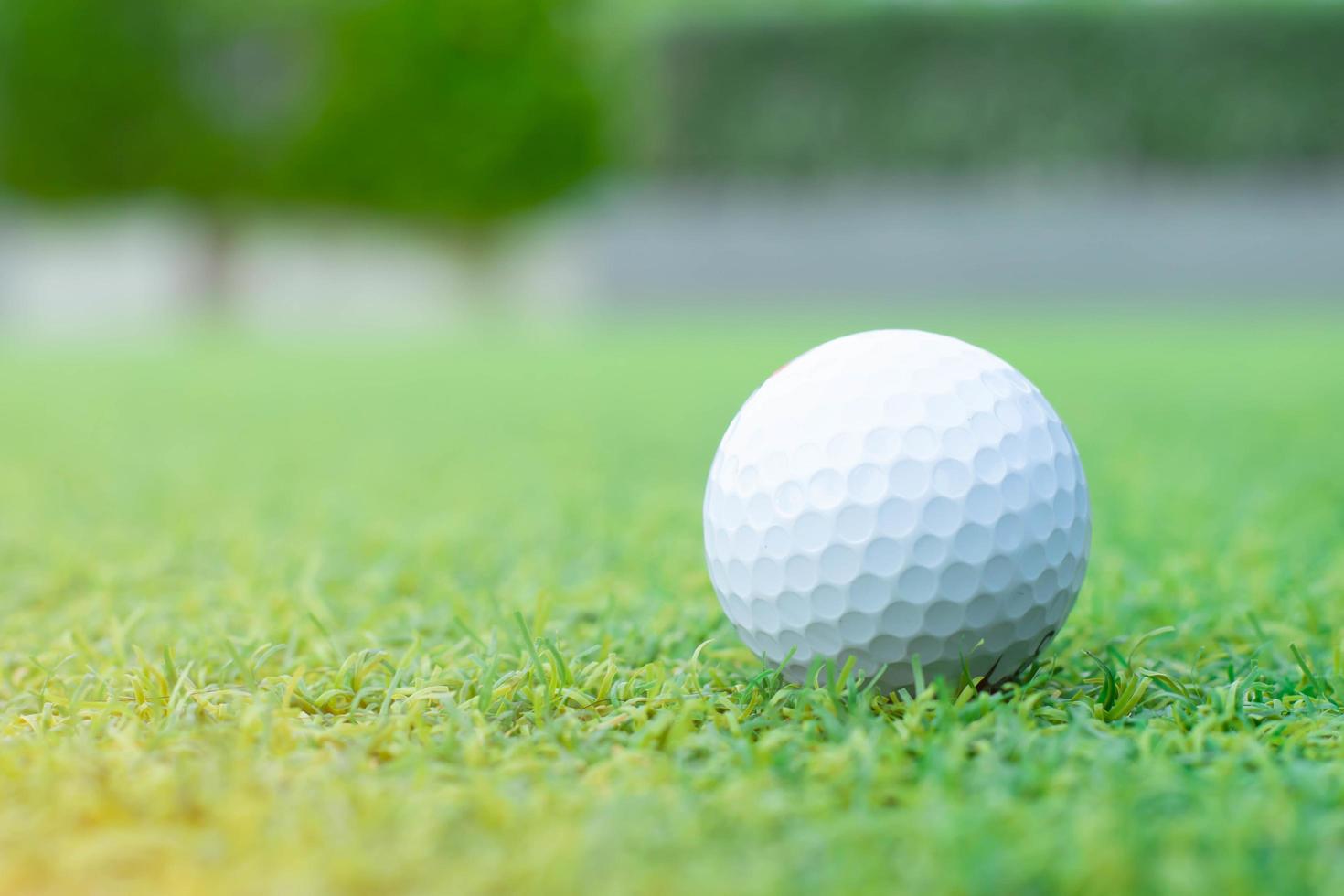 golf on the green grass photo