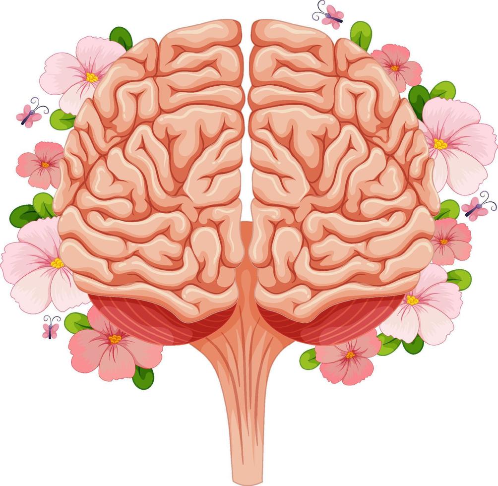 cerebro humano con muchas flores vector