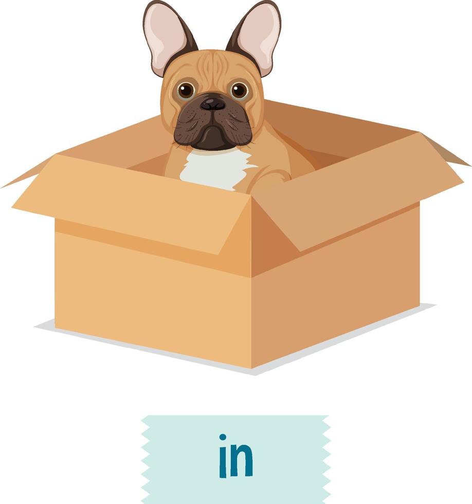 Prepostion wordcard design with dog in box vector