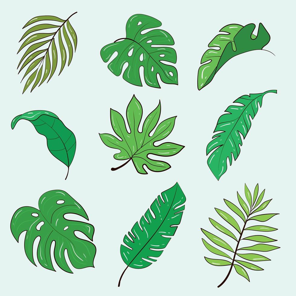 conjunto de plantillas vectoriales de plantas y flores. ilustración común. vector