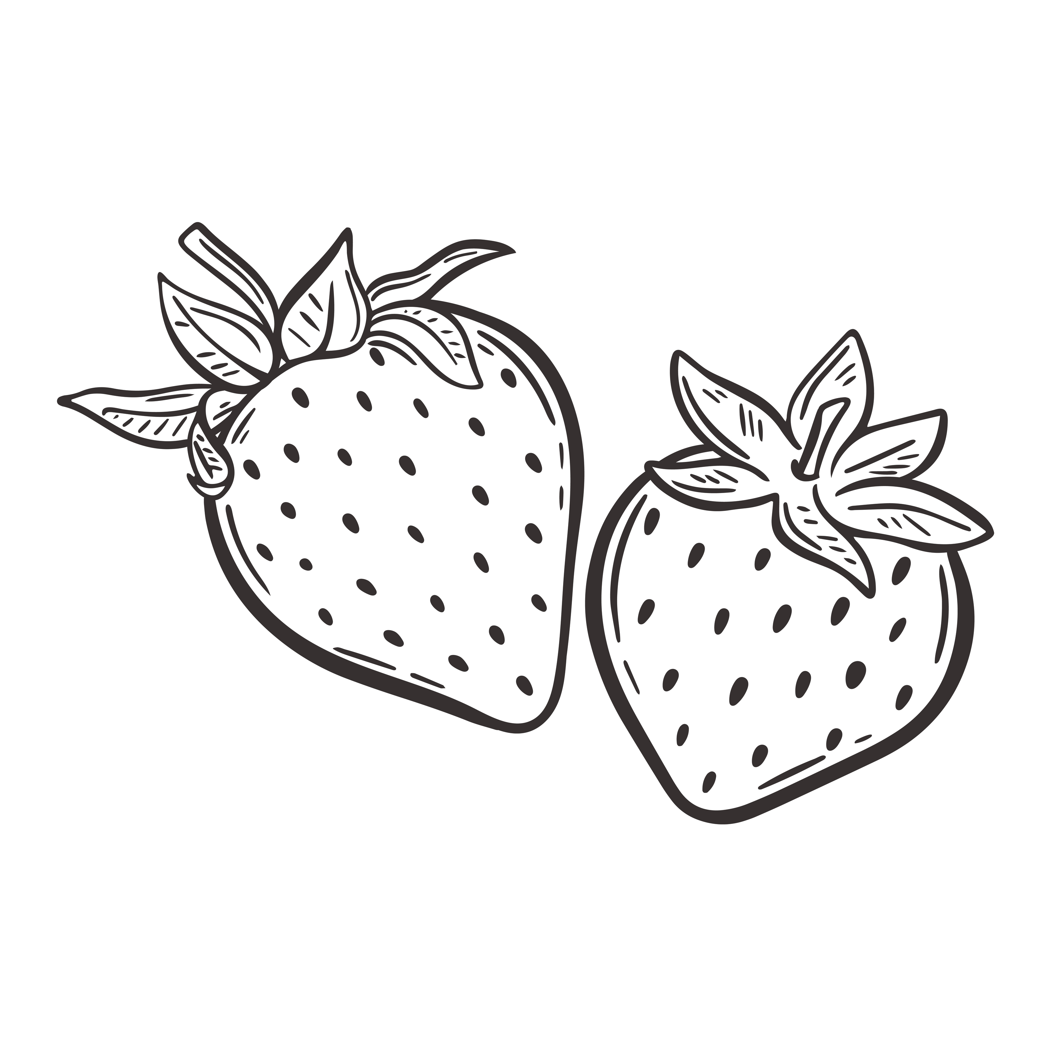 Strawberry hand drawn engraving isolated vector illustration 6592670