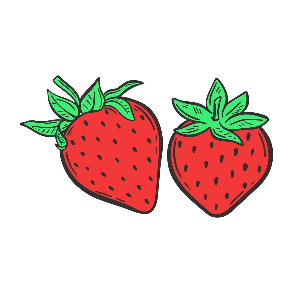 Bright red strawberries isolated vector illustration