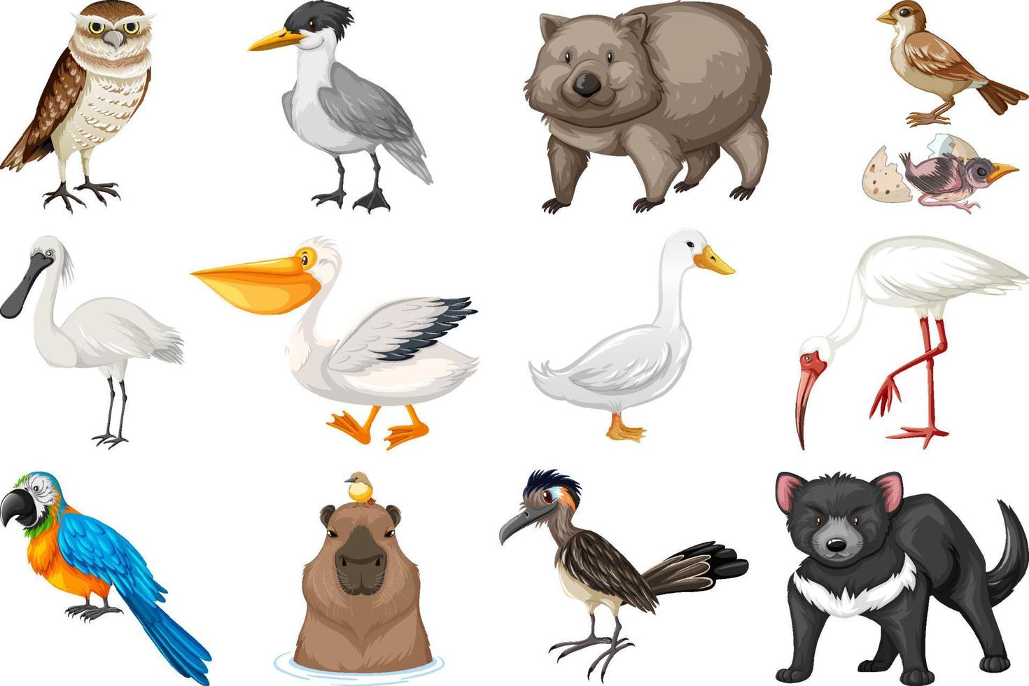 colección de diferentes tipos de animales vector