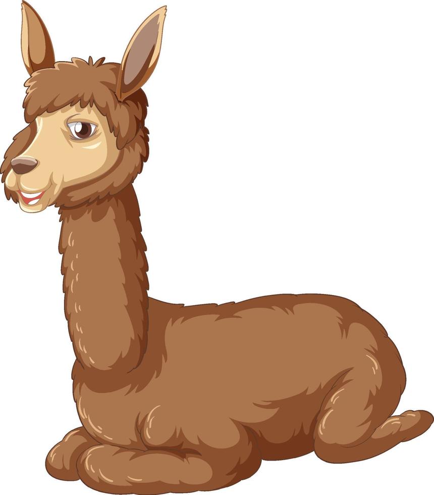 An alpaca on white background vector