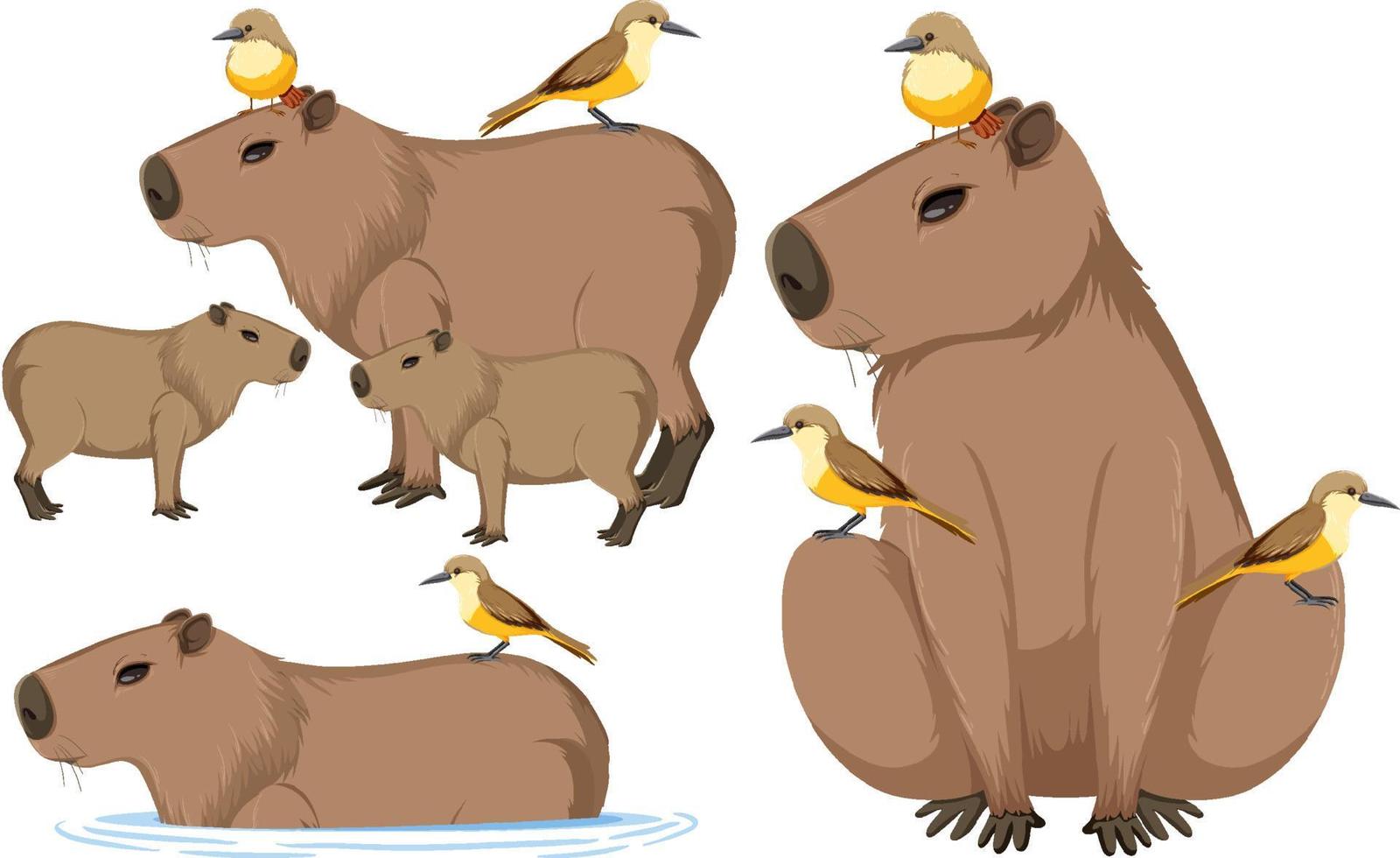 Set of different capybara in cartoon style vector