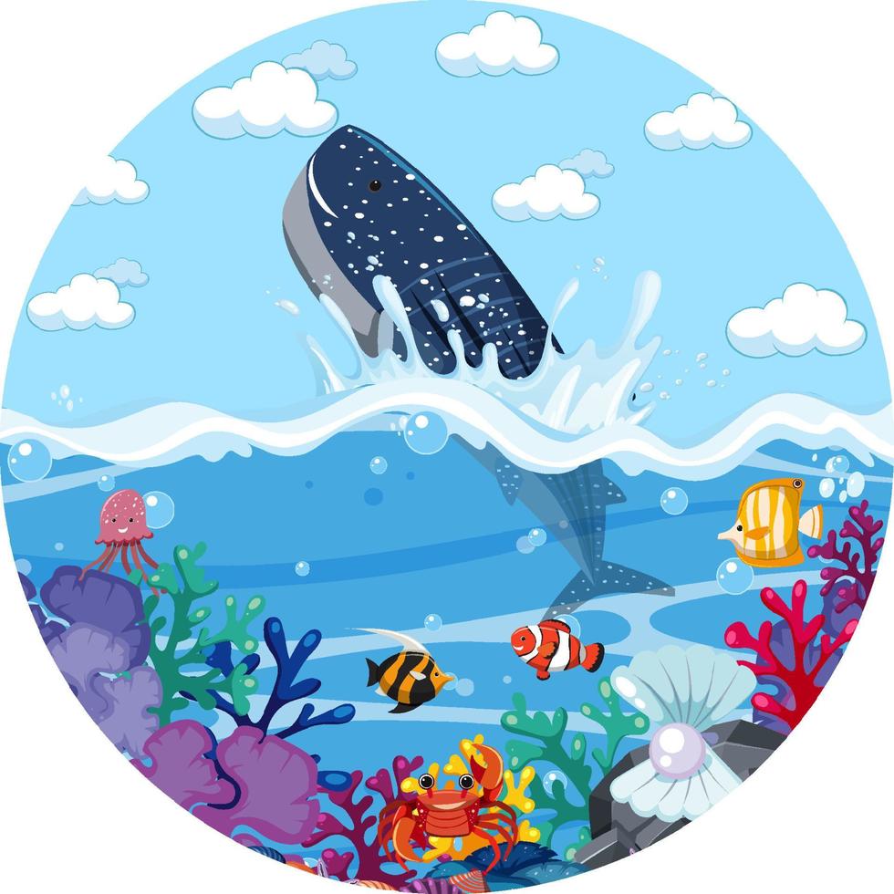 A water splash scene with whale on white background vector