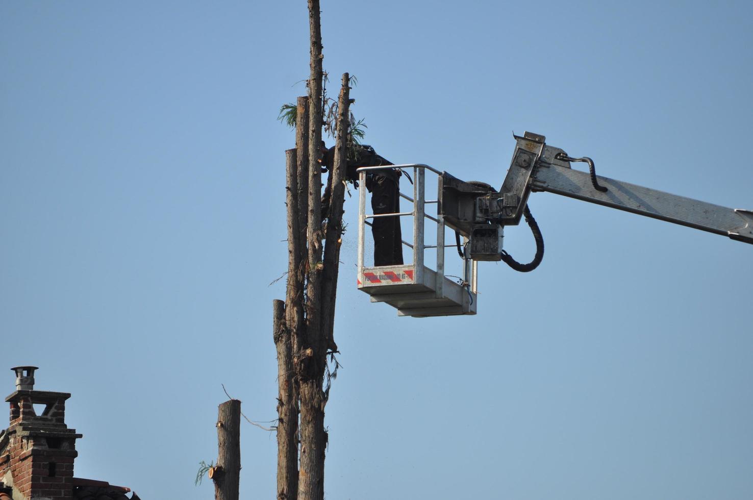 Unrecognisable gardener pruning a tree photo