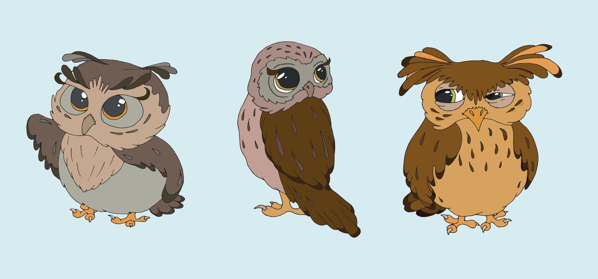 A set of vector illustrations of cute owls