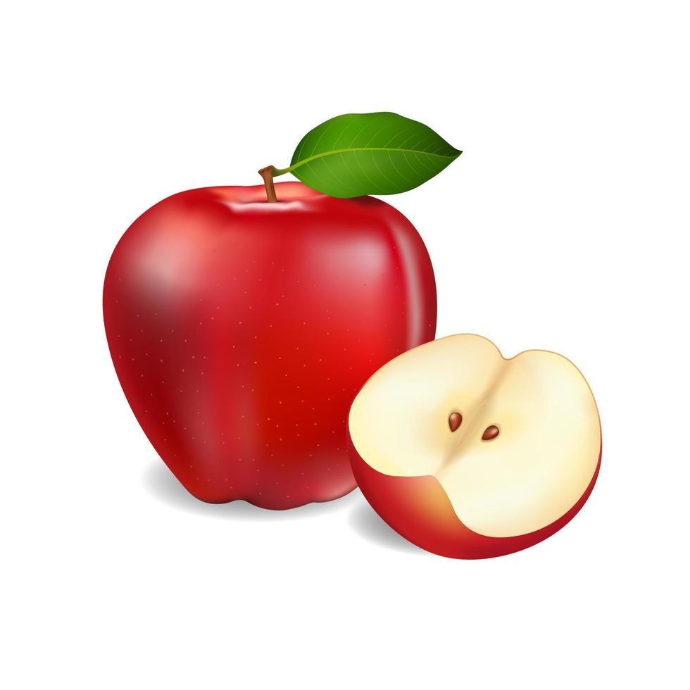 hermosas manzanas rojas frescas sobre fondo blanco, ilustración vectorial vector