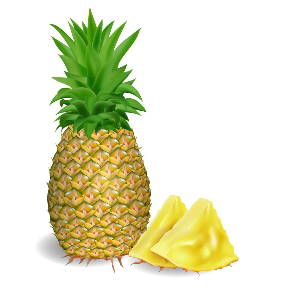 Pineapple and sliced on a white background vector