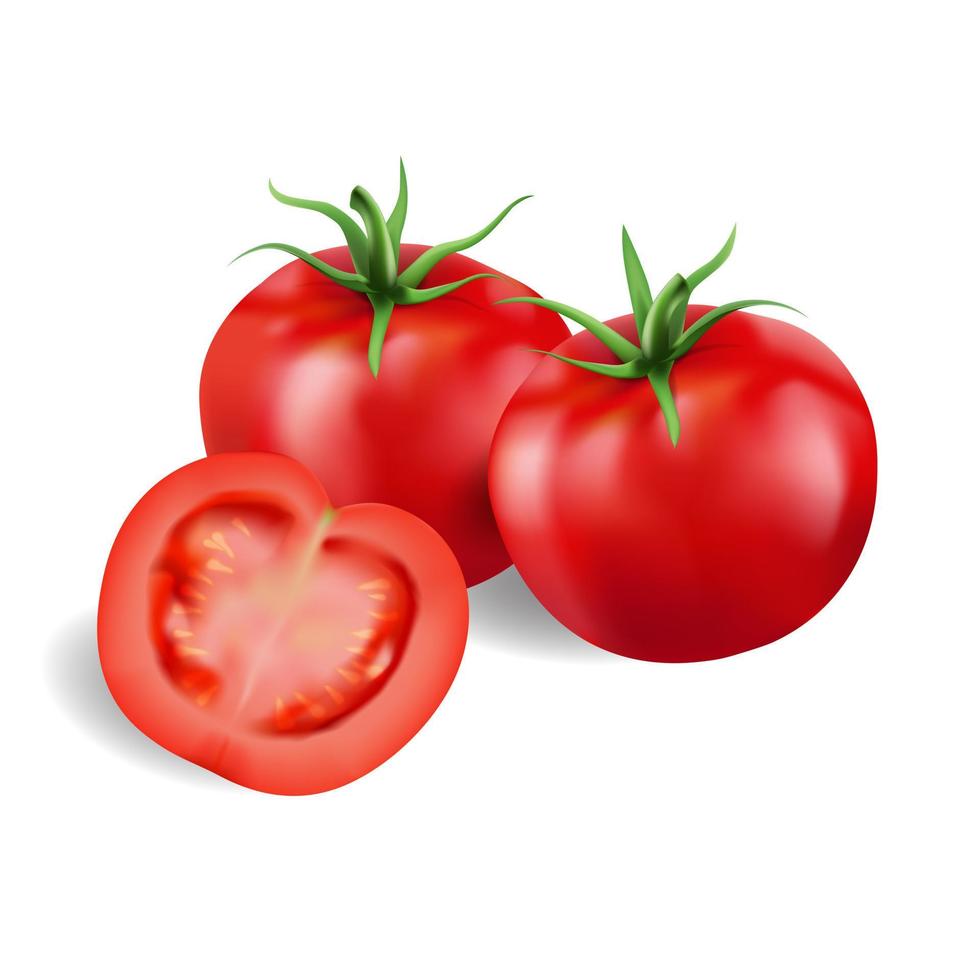 tomates frescos y en rodajas sobre un fondo blanco, ilustración vectorial vector