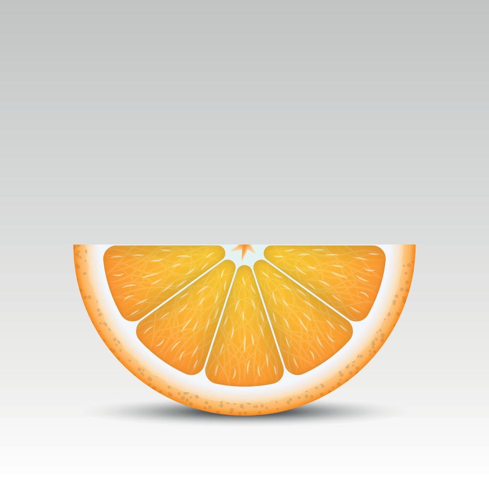 Realistic orange slice vector