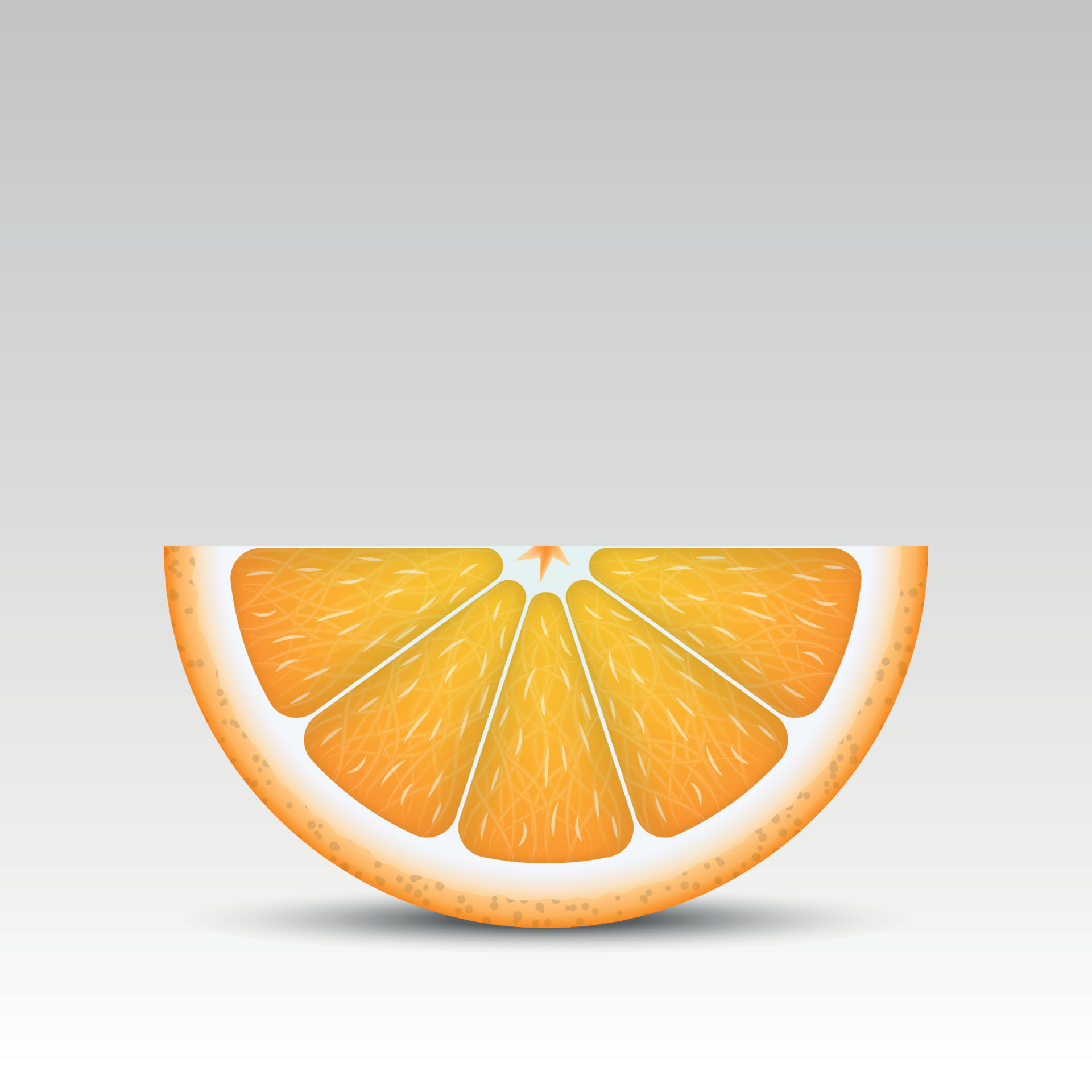 Realistic orange slice 6597430 Vector Art at Vecteezy