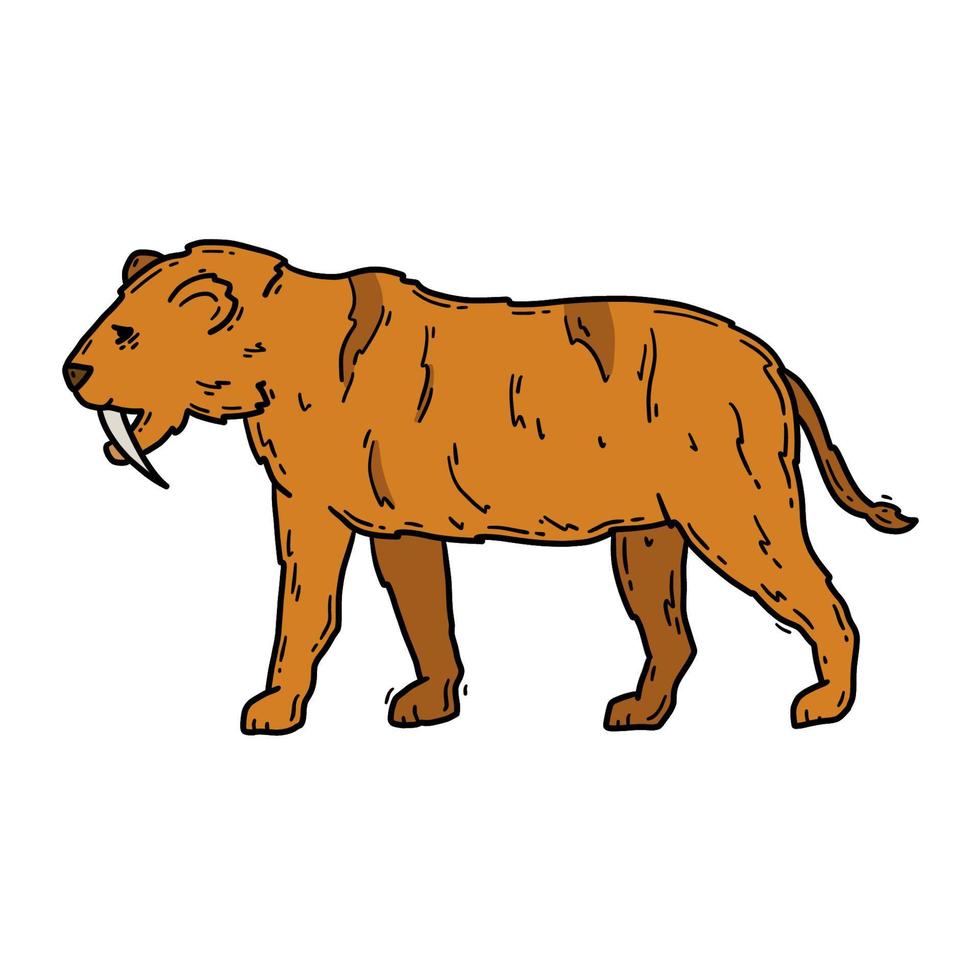 tigre dientes de sable machairodontinae animal prehistórico, gato smilodon en la edad de piedra vector ilustración marrón en estilo de boceto de garabato.