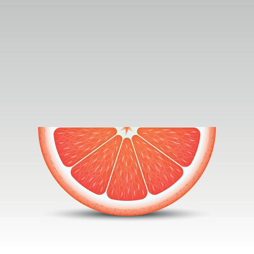 Realistic grapefruit slice vector