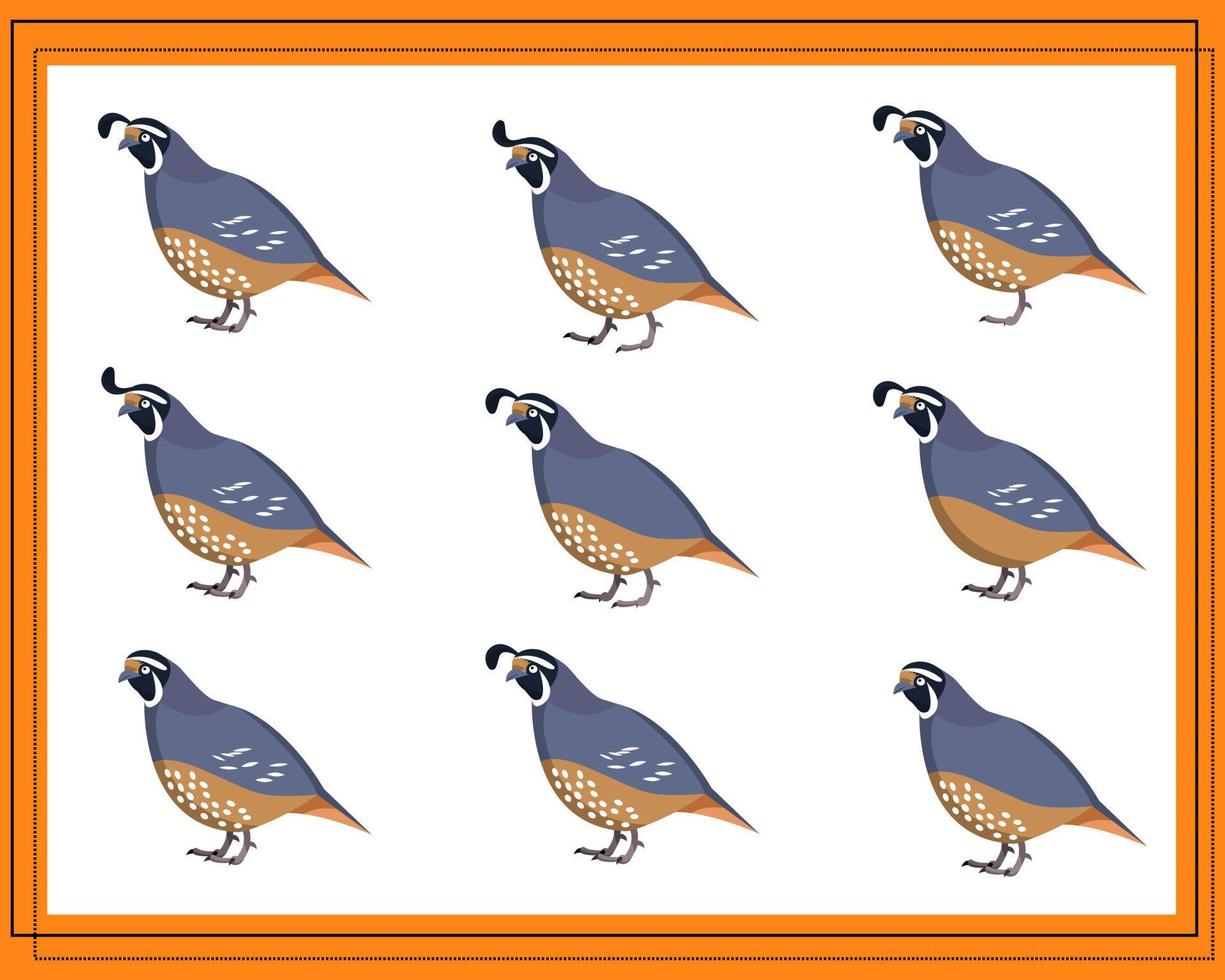 Game for kids find two identical pictures. Find two identical quails. vector