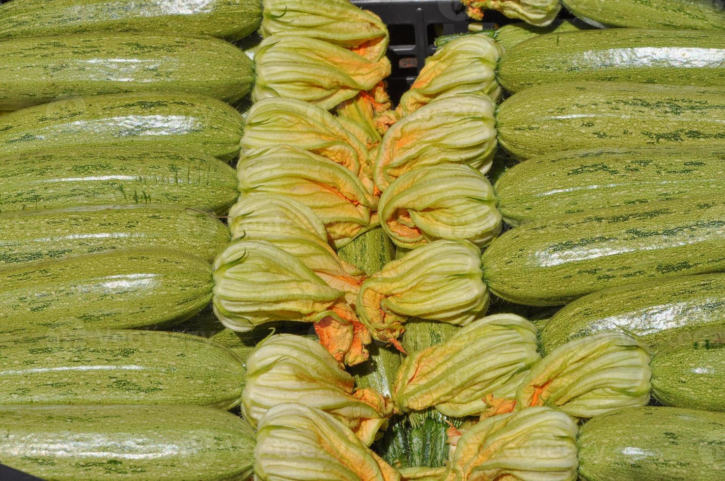 calabacín también conocido como calabacines verduras foto