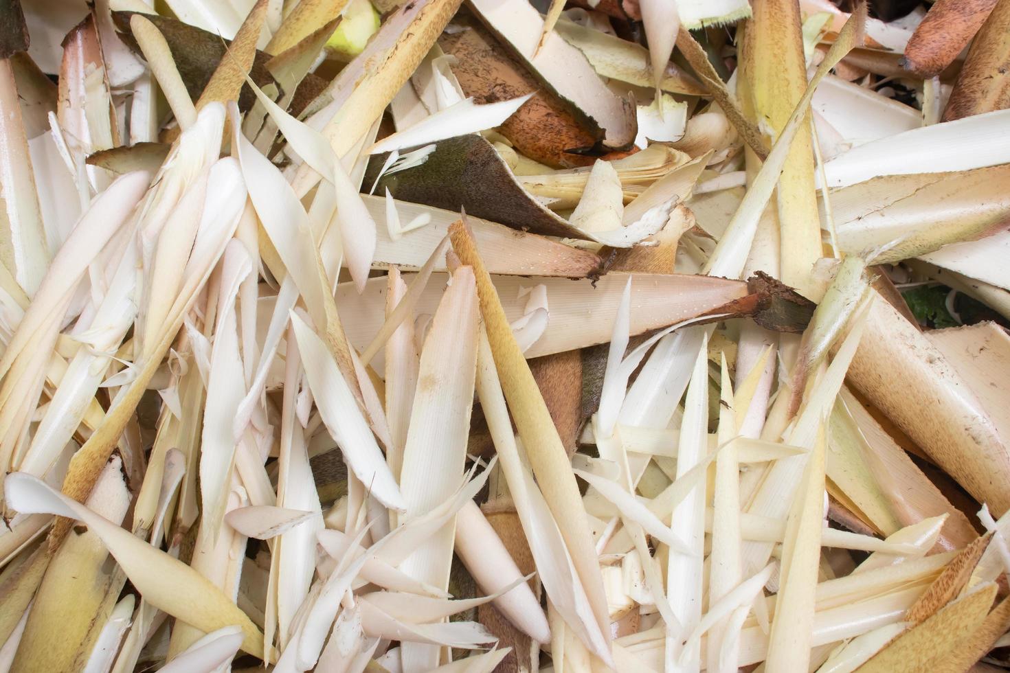 nature food abstract background, bamboo shoots cut trash from young bamboo photo
