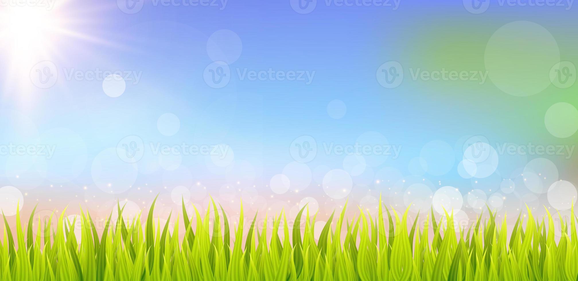 Abstract grass illustration on bokeh background. Illustrate sky scene. photo