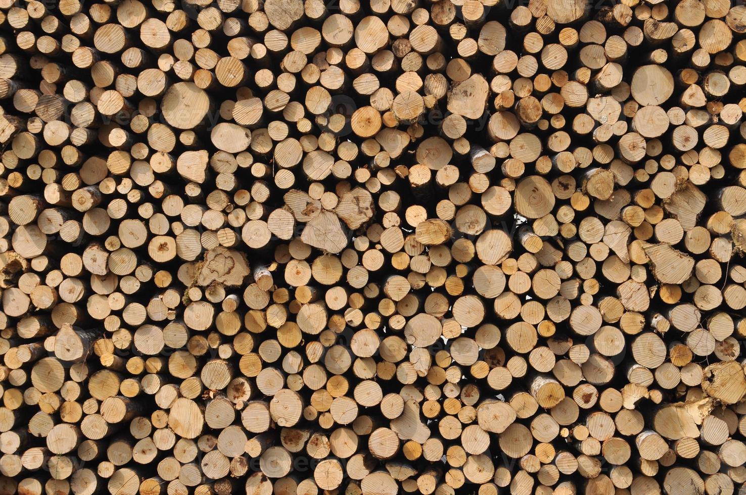 heap of wooden logs background photo