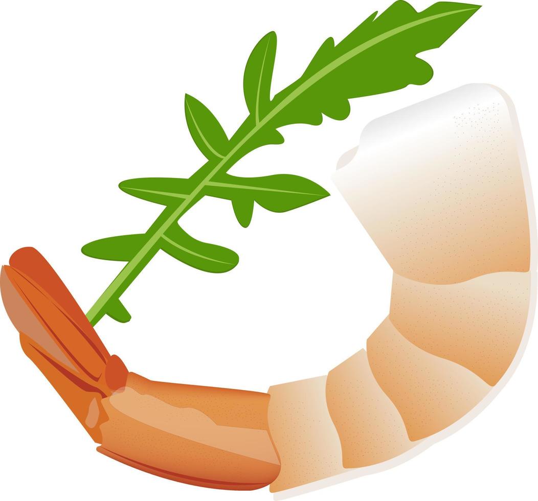 Shrimp with rucolla illustartion vector