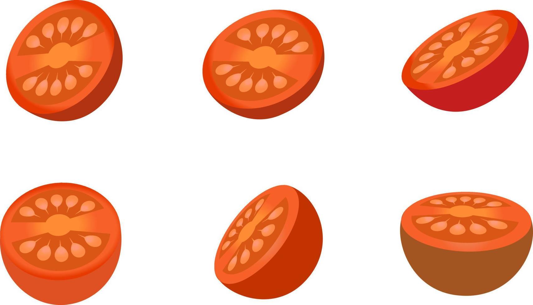 Tomato cherry illustration set vector