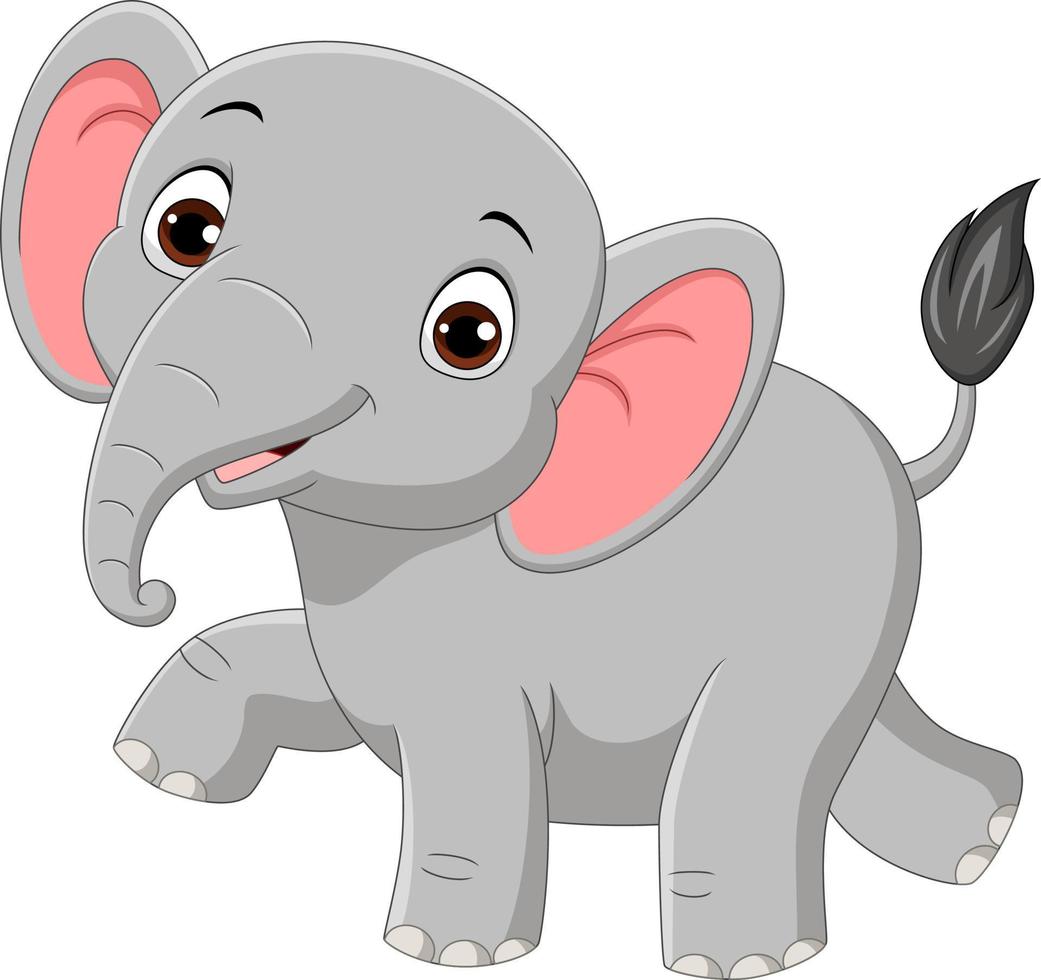 Cute baby elephant isolated on white background vector