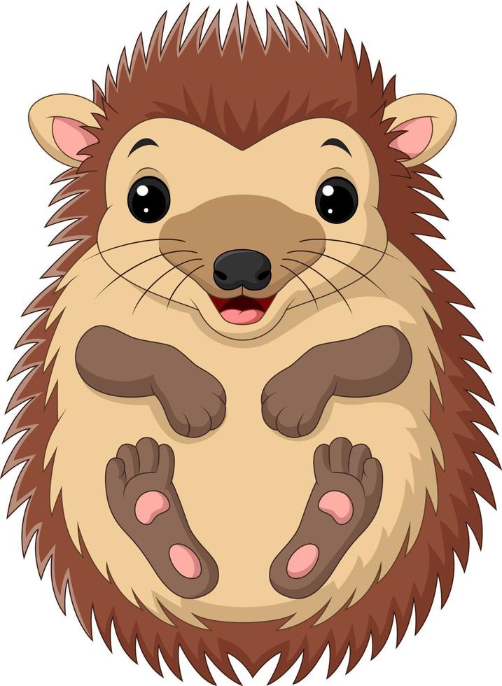 Cartoon cute little hedgehog on white background vector