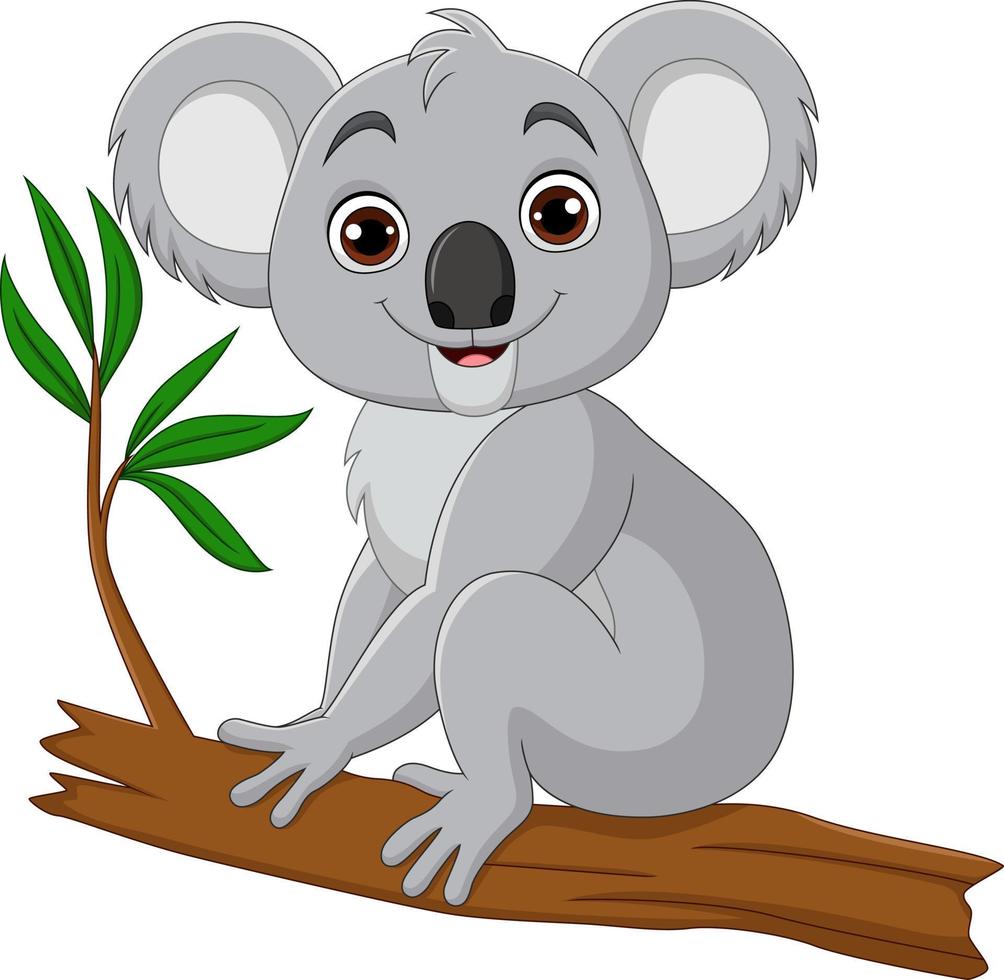 linda caricatura de koala sentada en una rama de árbol vector
