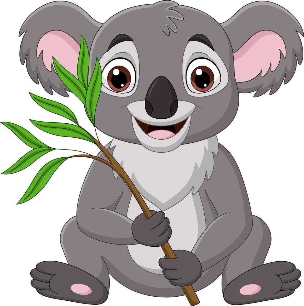 Cartoon koala holding a branch of eucalyptus tree vector