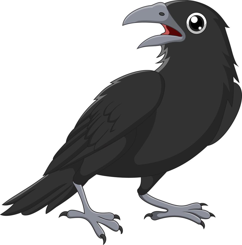 Cartoon crow isolated on white background vector