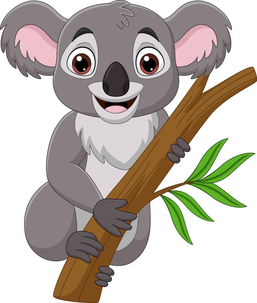 koala de dibujos animados en una rama de árbol vector