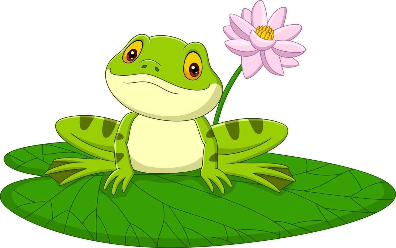 Cartoon green frog sitting on a leaf vector