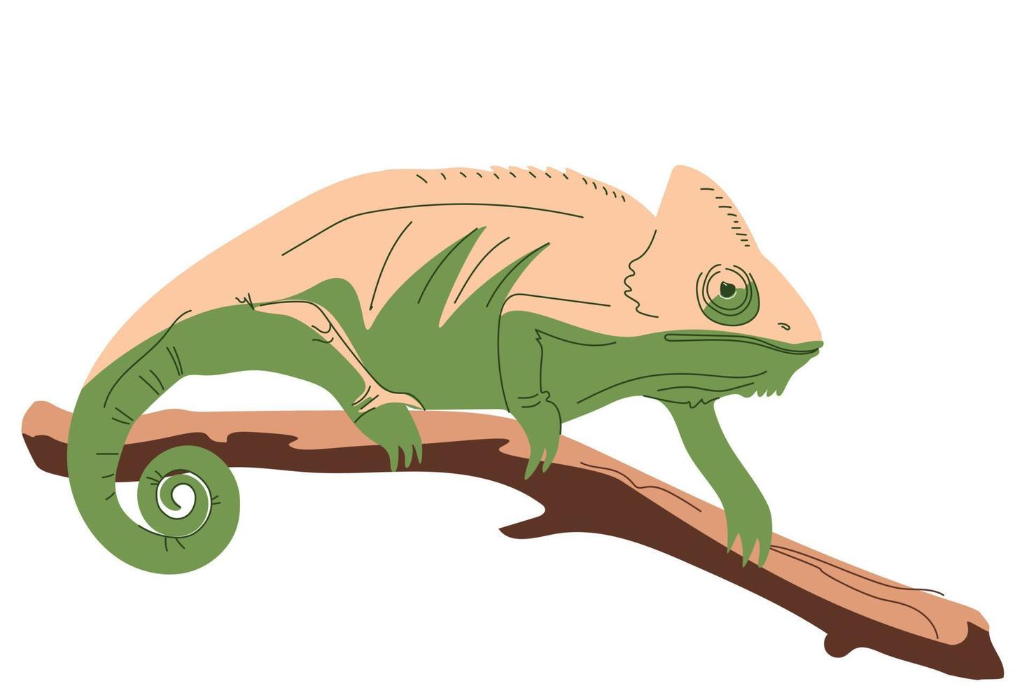 A chameleon on a branch in a hand-drawn style vector