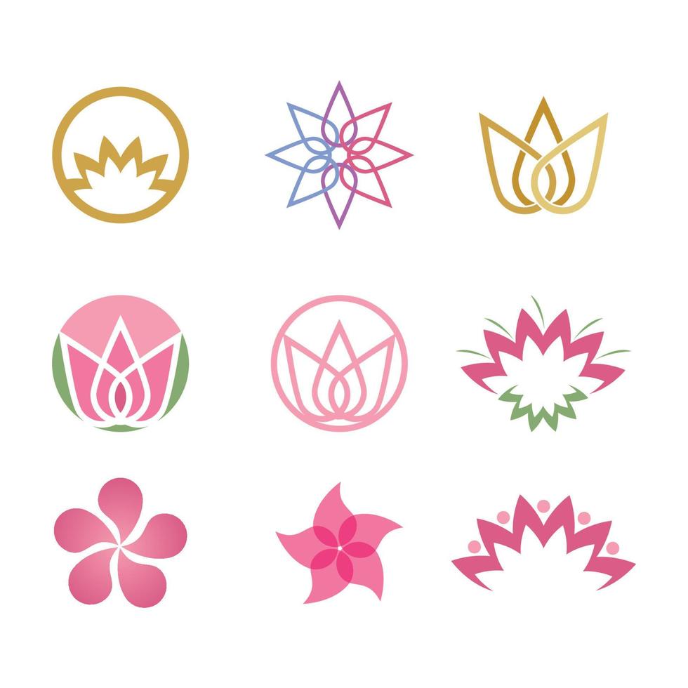 Lotus flowers illustration vector