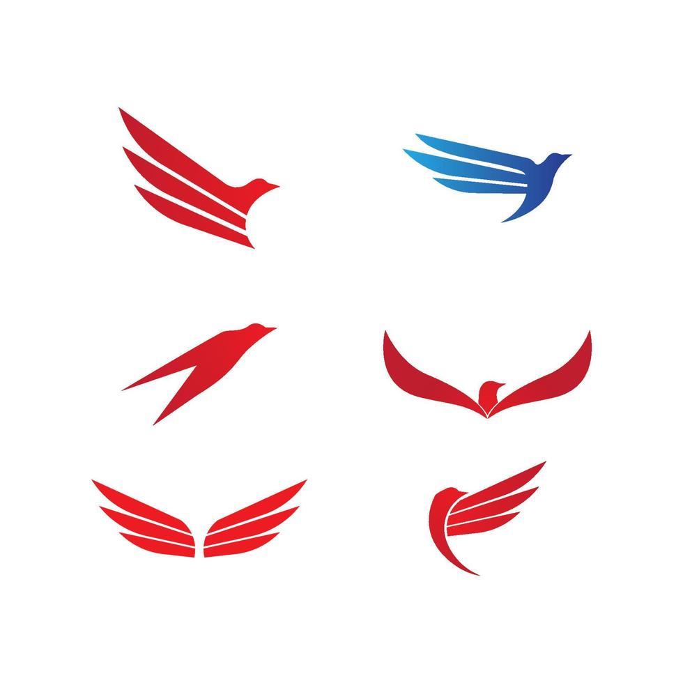 concepto de logotipo de halcón vector