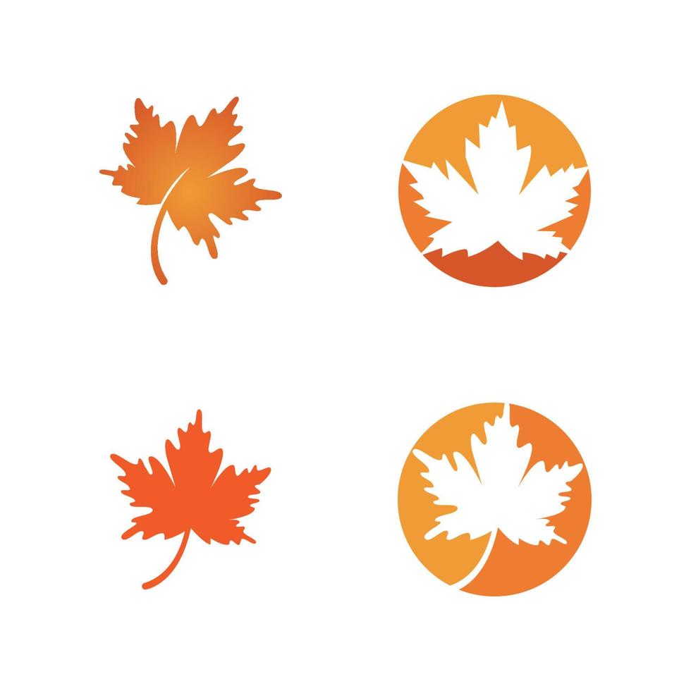 Oak leaf logo vector