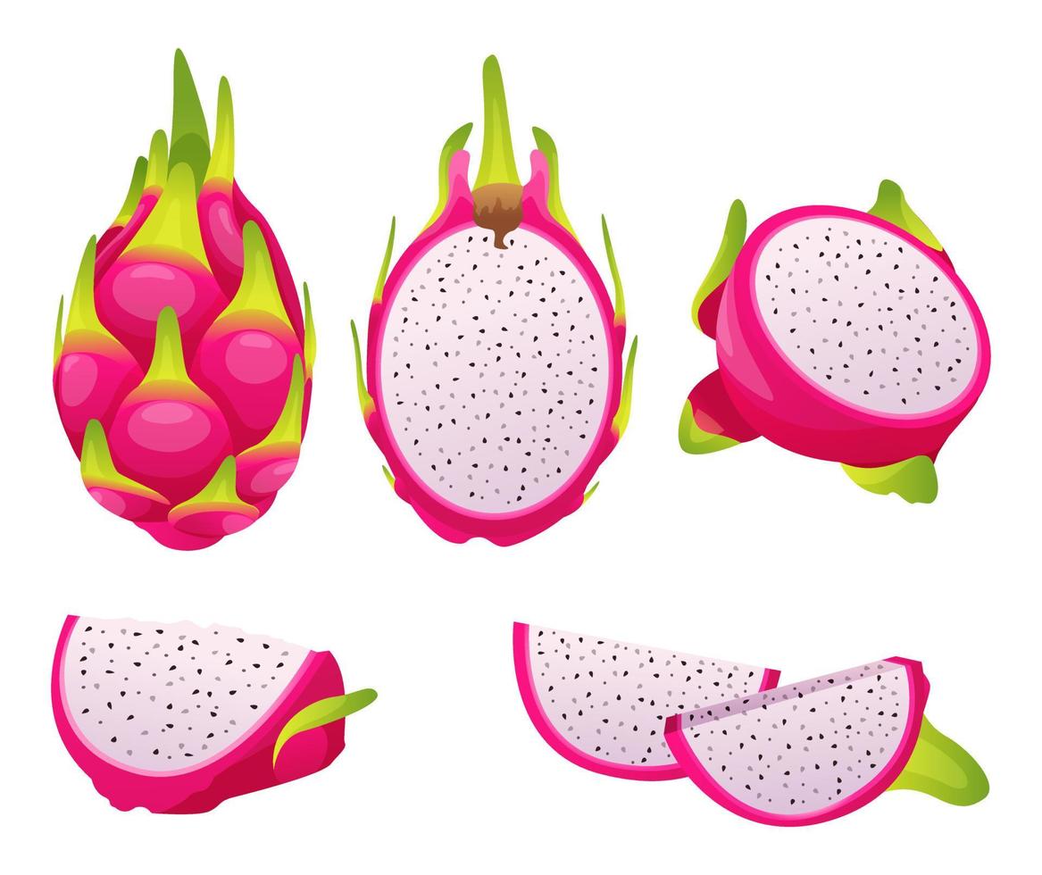 Set of fresh whole, half, cut slice of dragon fruits illustration isolated on white background vector