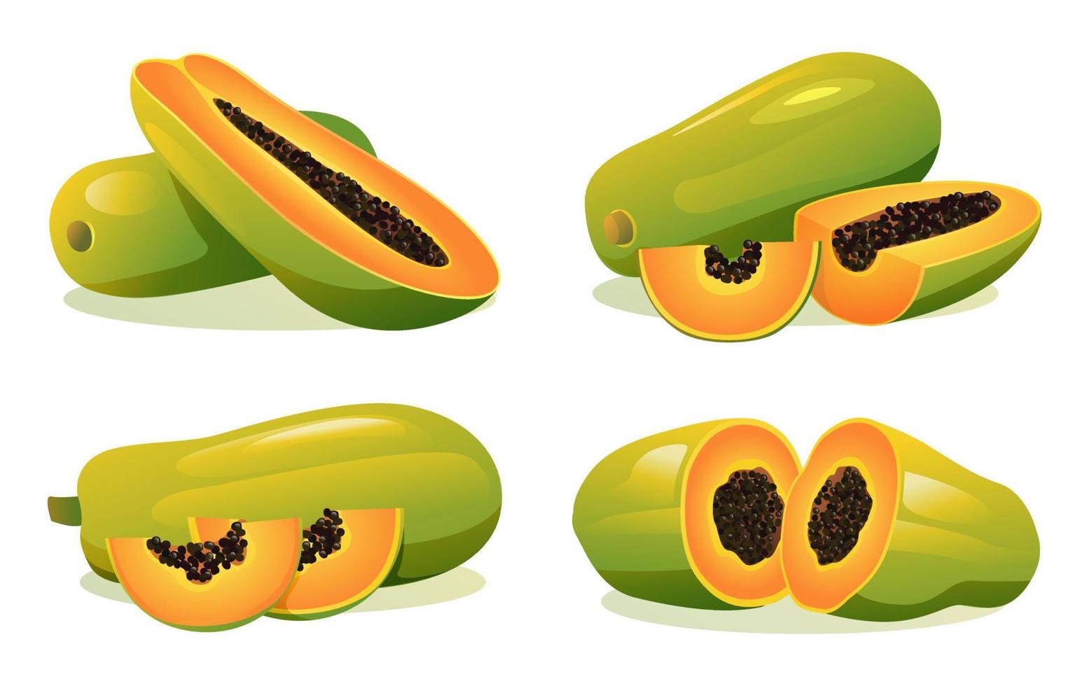 conjunto de papaya fresca entera, mitad y rebanada cortada ilustración aislada sobre fondo blanco vector