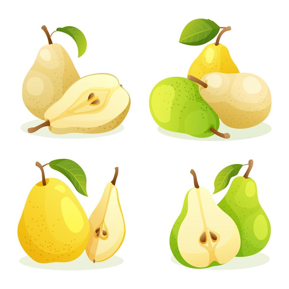 conjunto de varias frutas de pera fresca entera y mitad cortada ilustración aislada sobre fondo blanco vector