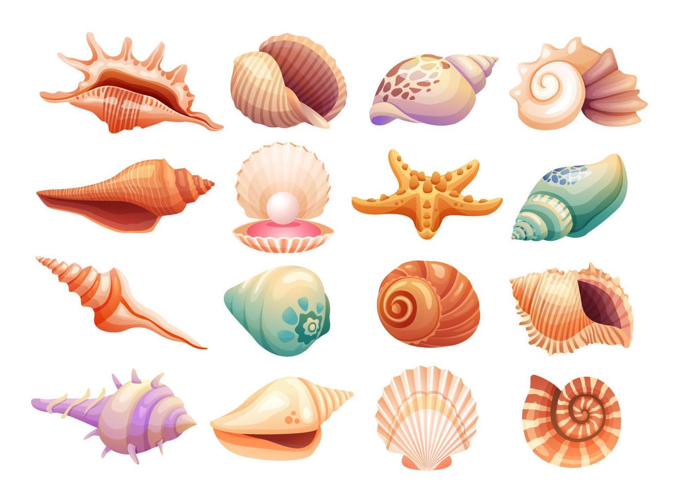 Set of various seashells illustration isolated on white background vector