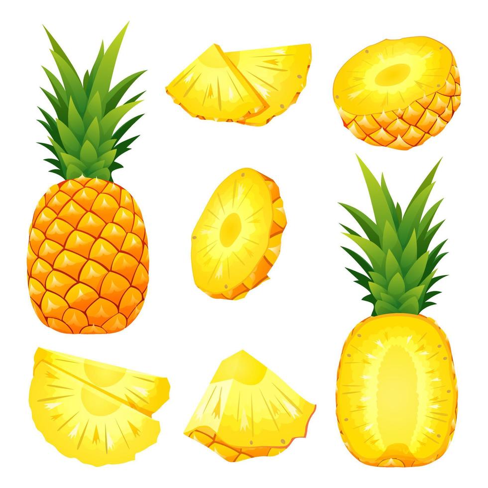 Set of fresh whole, half and cut slice pineapple illustration isolated on white background vector