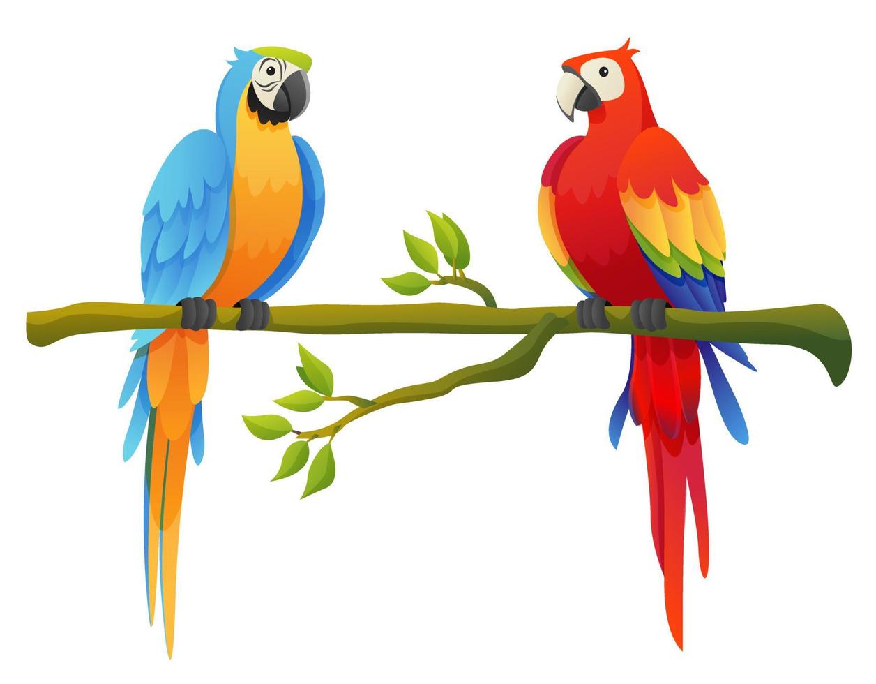 lindos pájaros loros guacamayos posados en una rama ilustración de dibujos animados vector