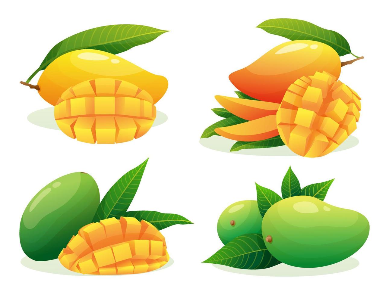 Set of various fresh mango fruits whole, half and cubic slices illustration isolated on white background vector