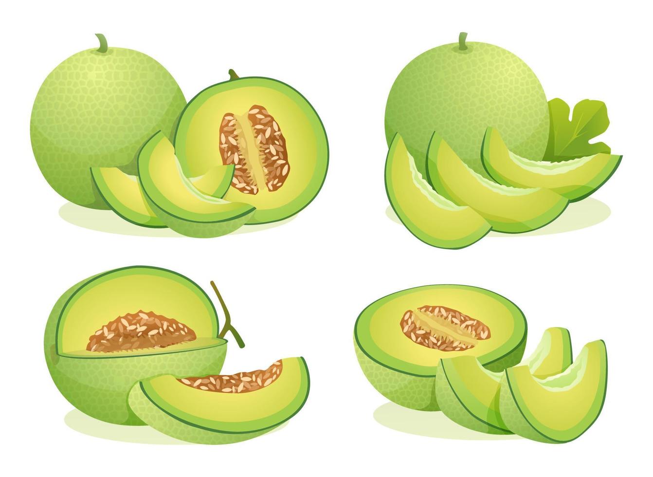 conjunto de frutas frescas de melón enteras, medias y rebanadas cortadas ilustración aislada sobre fondo blanco vector